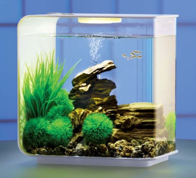 biOrb FLOW 15 Aquarium with LED | biOrb