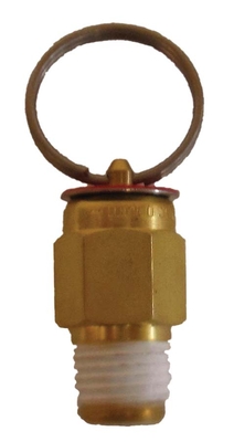 EasyPro 10 & 25 PSI Relief Valves | Air Pump Parts & Accessories