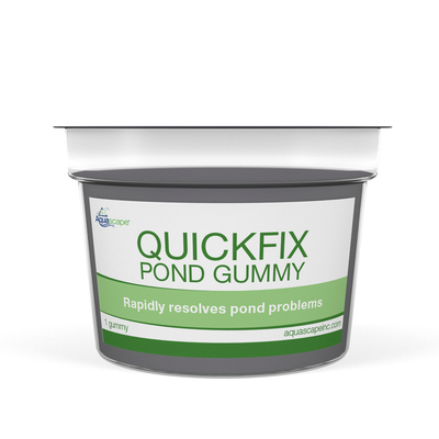 QuickFix Pond Gummy | Aquascape