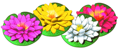 Silk Water Lilies | Clearance Items