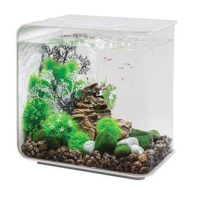 FLOW 30 Aquarium White with Standard Light - 8 gallon | Oase-biOrb Clearance