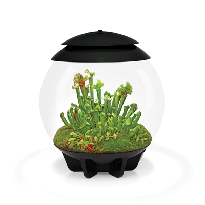 AIR 30 LED Terrarium - 8 gallon BLACK | biOrb