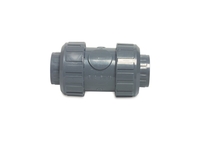 Image Double Union Non Return Valve