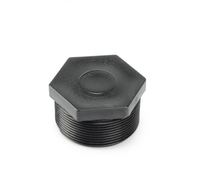 Image Hex-Head Plug 2″ MPT 29394